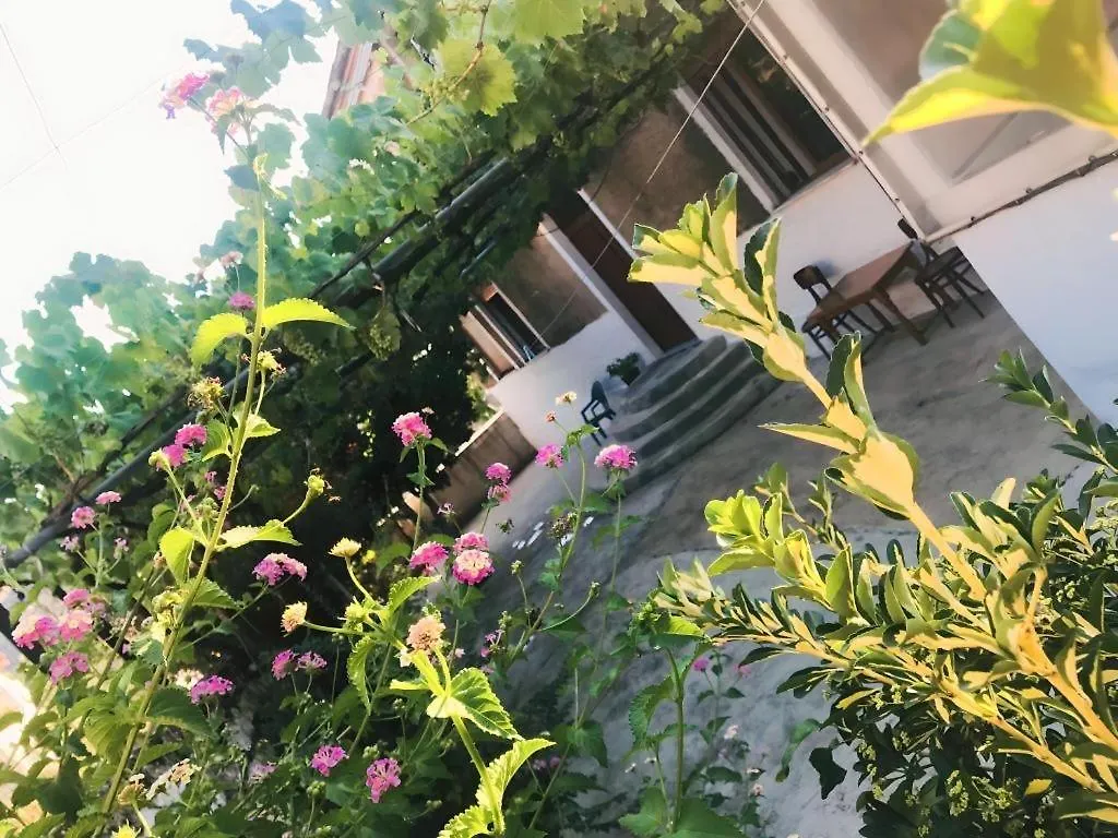 Alesio House location