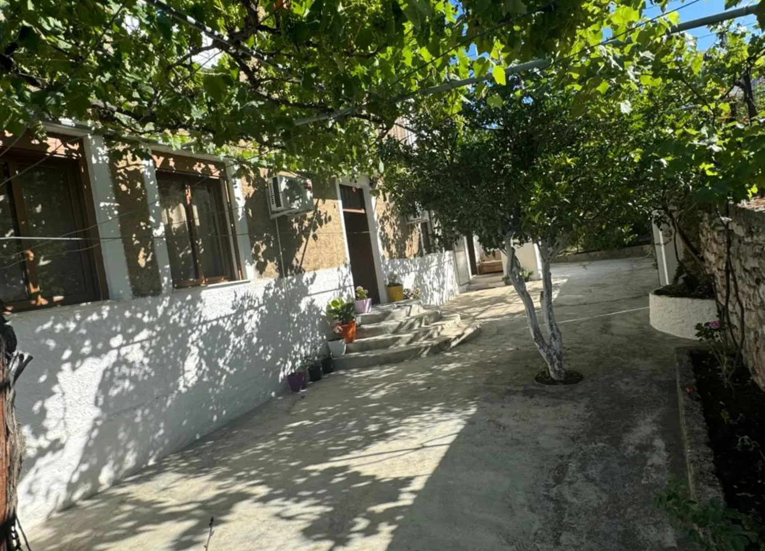 Alesio House Apartment Delvine